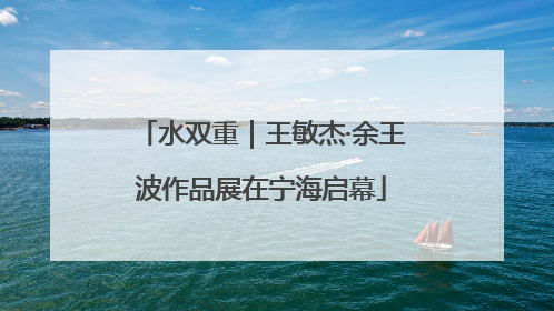 水双重｜王敏杰·余王波作品展在宁海启幕