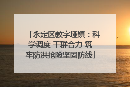 永定区教字垭镇：科学调度 干群合力 筑牢防洪抢险坚固防线