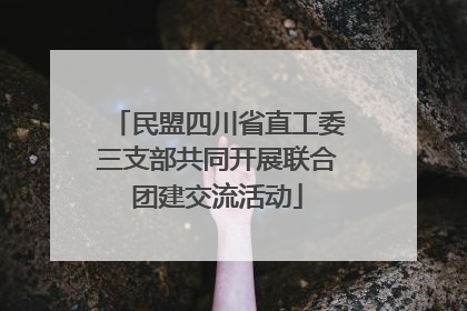 民盟四川省直工委三支部共同开展联合团建交流活动