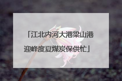江北内河大港梁山港迎峰度夏煤炭保供忙