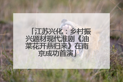 江苏兴化：乡村振兴题材现代淮剧《油菜花开燕归来》在南京成功首演