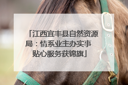 江西宜丰县自然资源局：情系业主办实事 贴心服务获锦旗
