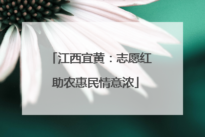 江西宜黄：志愿红助农惠民情意浓