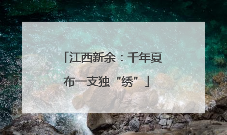 江西新余：千年夏布一支独“绣”