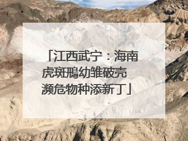 江西武宁：海南虎斑鳽幼雏破壳 濒危物种添新丁