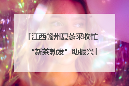 江西赣州夏茶采收忙 “新茶勃发”助振兴
