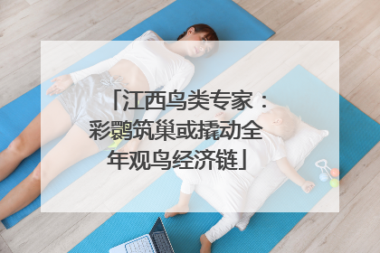 江西鸟类专家：彩鹮筑巢或撬动全年观鸟经济链