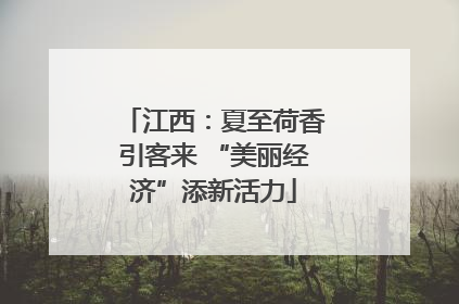 江西：夏至荷香引客来 “美丽经济”添新活力