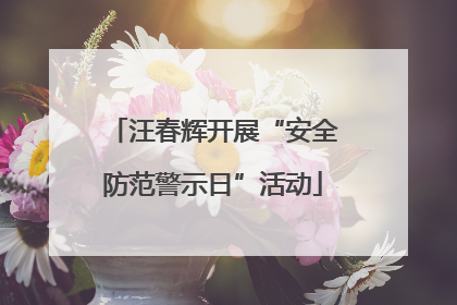 汪春辉开展“安全防范警示日”活动
