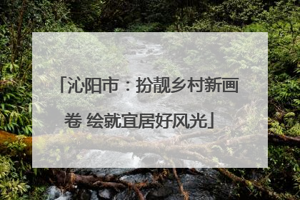 沁阳市：扮靓乡村新画卷 绘就宜居好风光