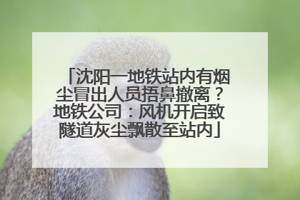 沈阳一地铁站内有烟尘冒出人员捂鼻撤离？地铁公司：风机开启致隧道灰尘飘散至站内