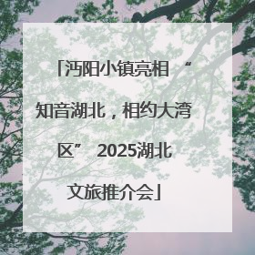沔阳小镇亮相 “知音湖北，相约大湾区” 2025湖北文旅推介会