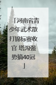 河南省青少年武术散打锦标赛收官 塔沟强势摘40冠