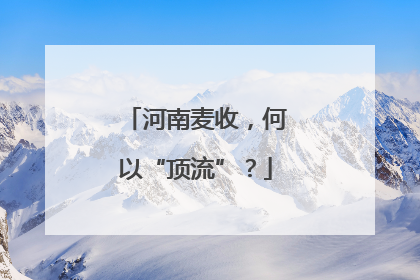 河南麦收，何以“顶流”？