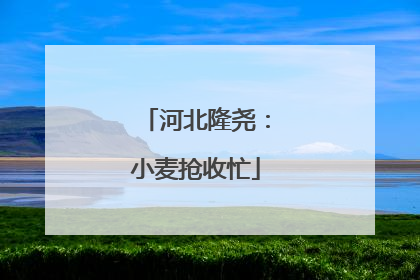 河北隆尧：小麦抢收忙