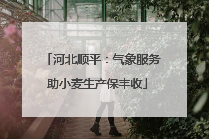 河北顺平：气象服务助小麦生产保丰收
