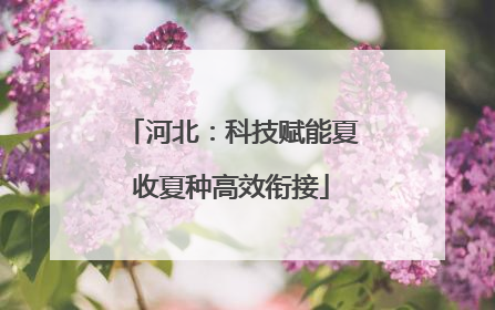 河北：科技赋能夏收夏种高效衔接