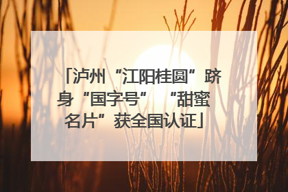 泸州“江阳桂圆”跻身“国字号” “甜蜜名片”获全国认证