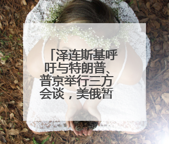 泽连斯基呼吁与特朗普、普京举行三方会谈，美俄暂未回应