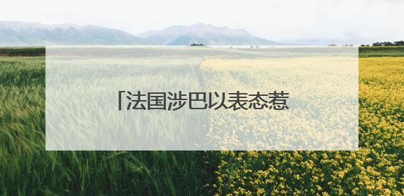 法国涉巴以表态惹美大使“风凉话” 扯上“蔚蓝海岸”