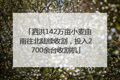 泗洪142万亩小麦由南往北陆续收割，投入2700余台收割机