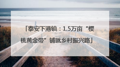 泰安下港镇：1.5万亩“樱桃黄金带”铺就乡村振兴路