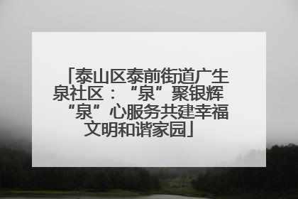 泰山区泰前街道广生泉社区：“泉”聚银辉“泉”心服务共建幸福文明和谐家园