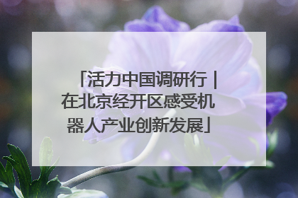 活力中国调研行｜在北京经开区感受机器人产业创新发展