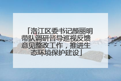 洛江区委书记颜丽明带队调研督导巡视反馈意见整改工作，推进生态环境保护建设