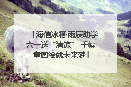 海信冰箱·雨辰助学六一送“清凉” 千幅童画绘就未来梦