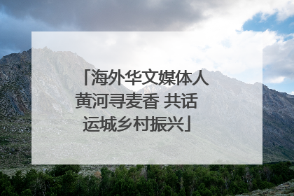 海外华文媒体人黄河寻麦香 共话运城乡村振兴