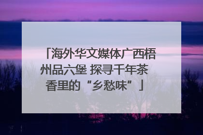 海外华文媒体广西梧州品六堡 探寻千年茶香里的“乡愁味”