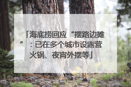 海底捞回应“摆路边摊”：已在多个城市设露营火锅、夜宵外摆等