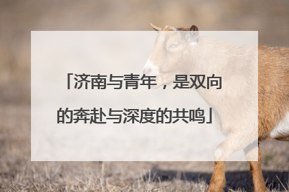 济南与青年，是双向的奔赴与深度的共鸣