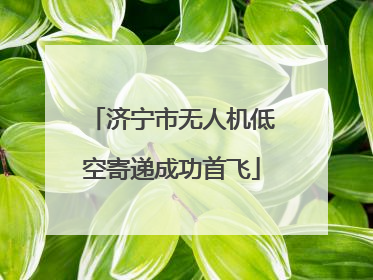 济宁市无人机低空寄递成功首飞