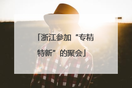 浙江参加“专精特新”的聚会