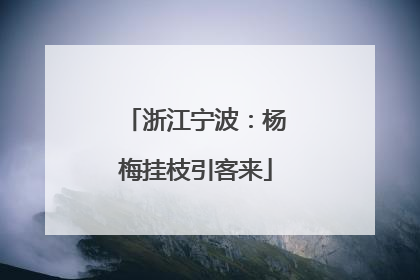 浙江宁波：杨梅挂枝引客来