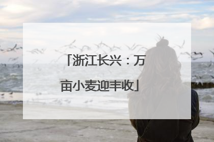 浙江长兴：万亩小麦迎丰收