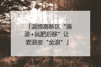 淄博高新区“滴灌+氮肥后移”让麦浪变“金浪”