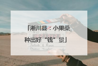 淅川县：小果桑种出好“钱”景