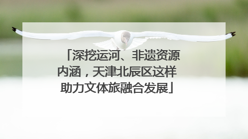 深挖运河、非遗资源内涵，天津北辰区这样助力文体旅融合发展