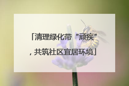 清理绿化带“顽疾”，共筑社区宜居环境