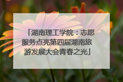 湖南理工学院：志愿服务点亮第四届湖南旅游发展大会青春之光