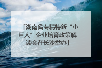 湖南省专精特新“小巨人”企业培育政策解读会在长沙举办