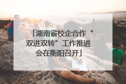 湖南省校企合作“双进双转”工作推进会在衡阳召开