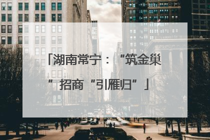湖南常宁：“筑金巢”招商“引雁归”