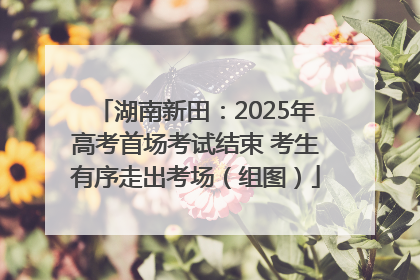 湖南新田：2025年高考首场考试结束 考生有序走出考场（组图）