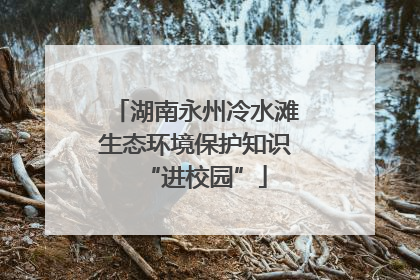 湖南永州冷水滩生态环境保护知识“进校园”
