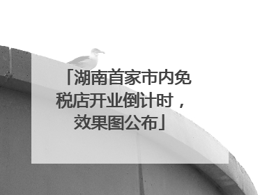 湖南首家市内免税店开业倒计时，效果图公布