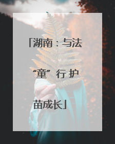 湖南：与法“童”行 护苗成长